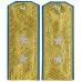 Погоны повседневные ГЕНЕРАЛОВ  авиации Красной Армии, обр. 1943 г.